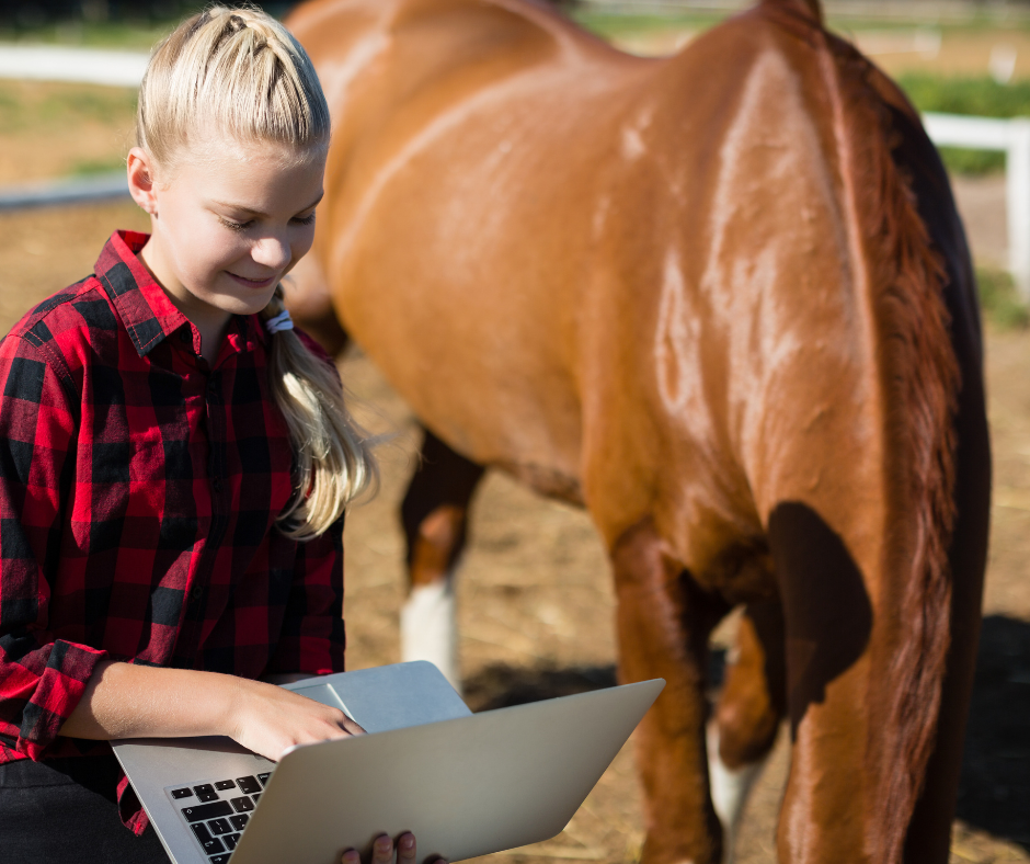 Unsinnige-Empfehlungen-in-Internet-Foren-zum-Thema-Pferdemagen-Equine-74