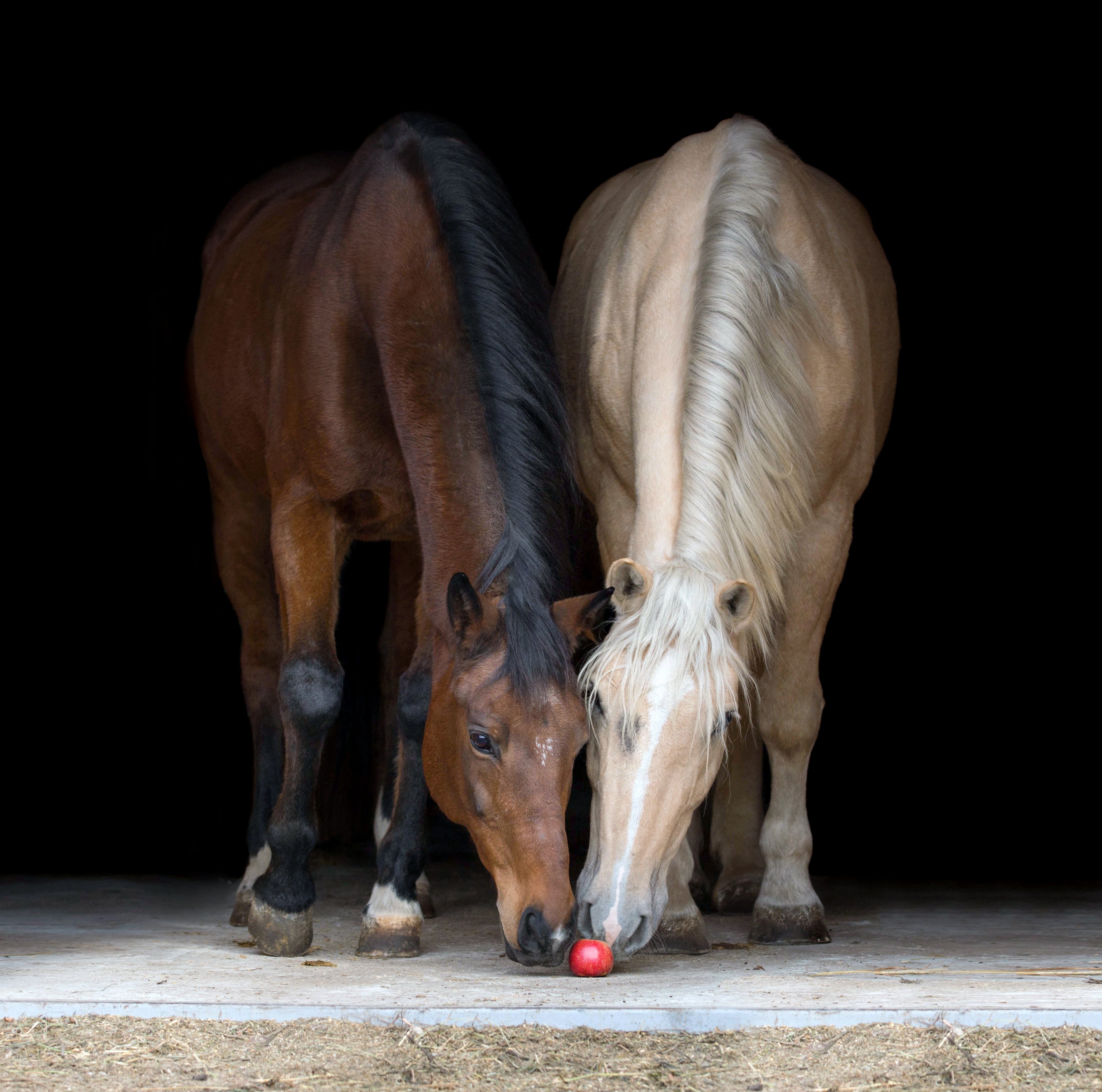 AdobeStock_177909843