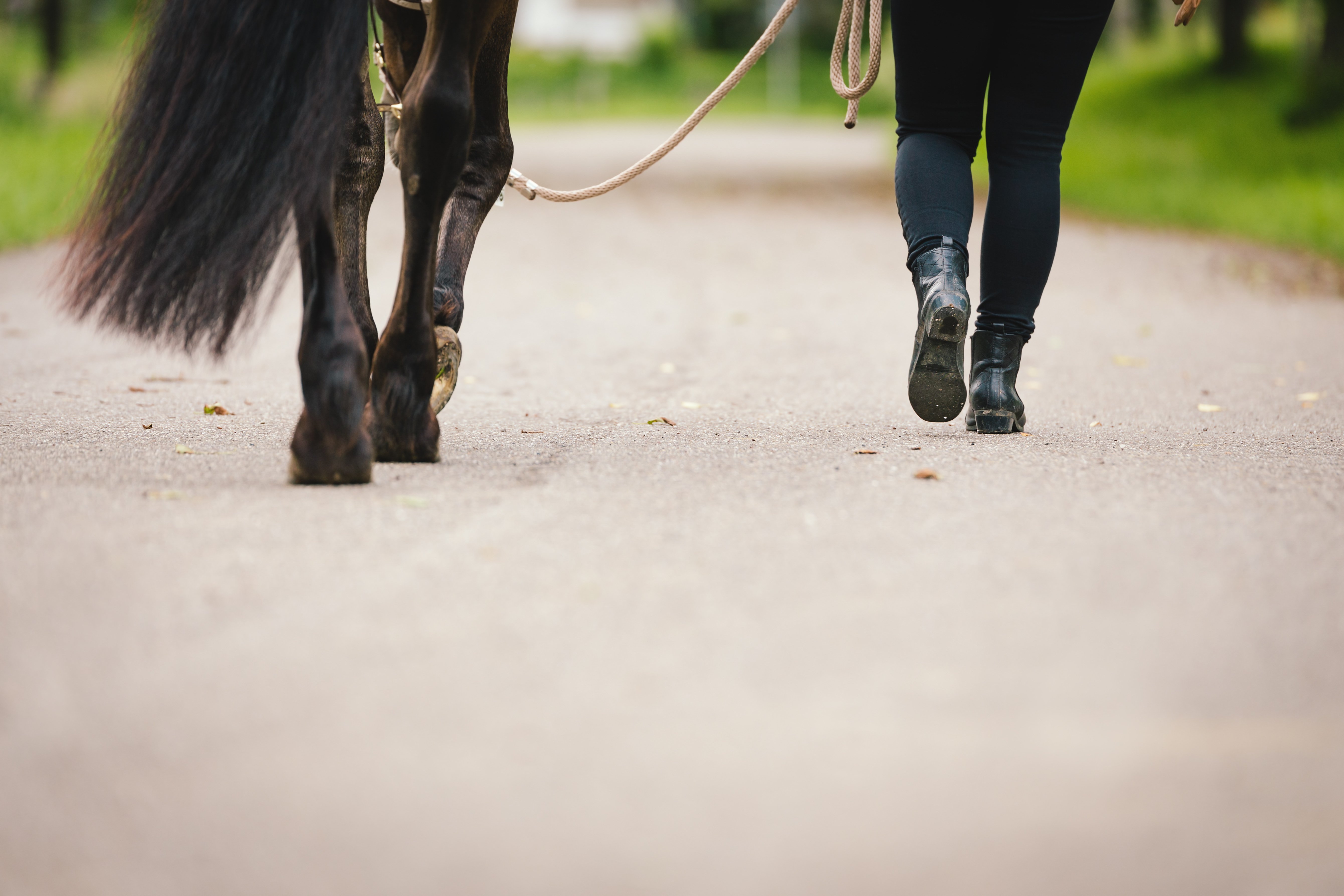 AdobeStock_207123339-1