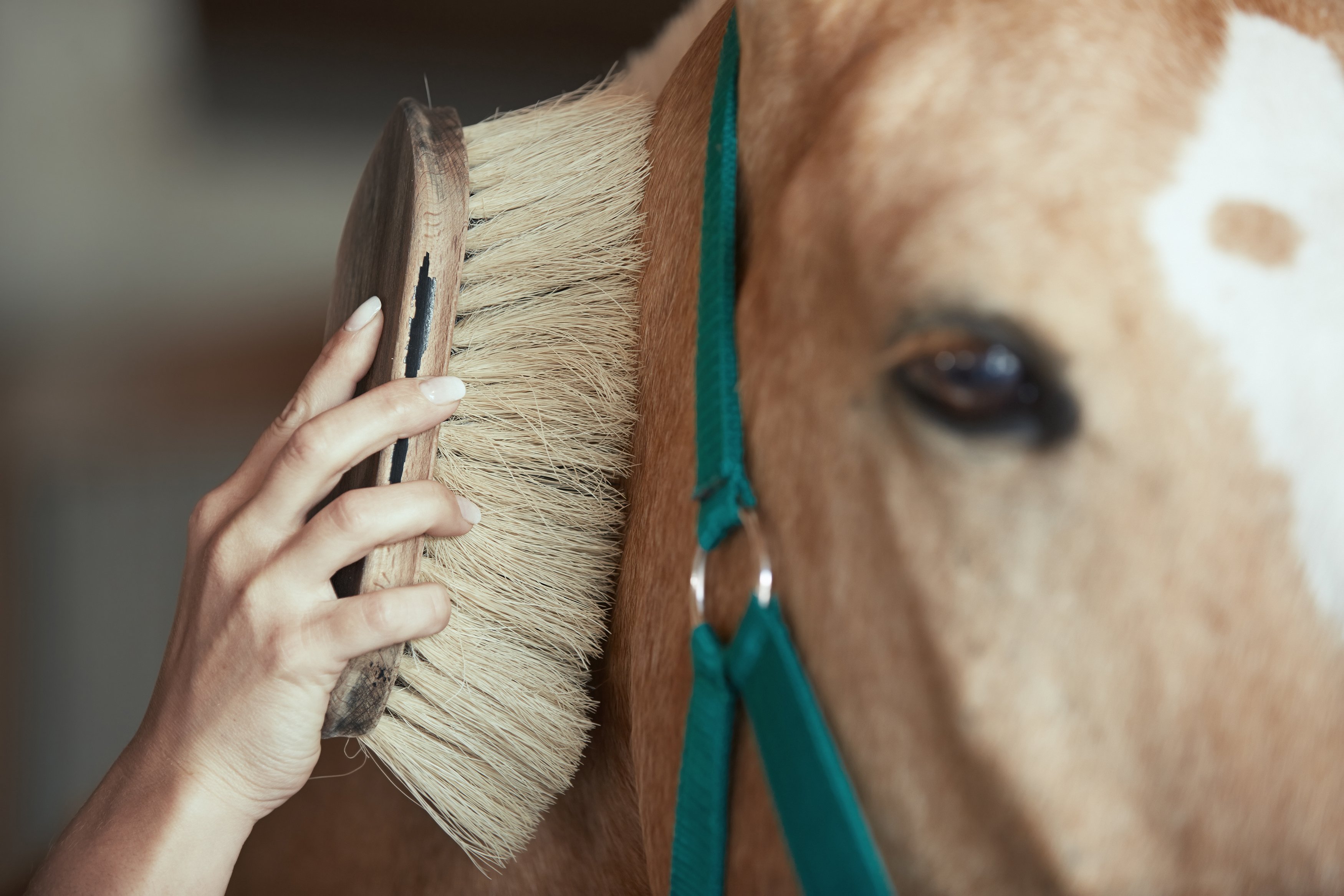 AdobeStock_264714417