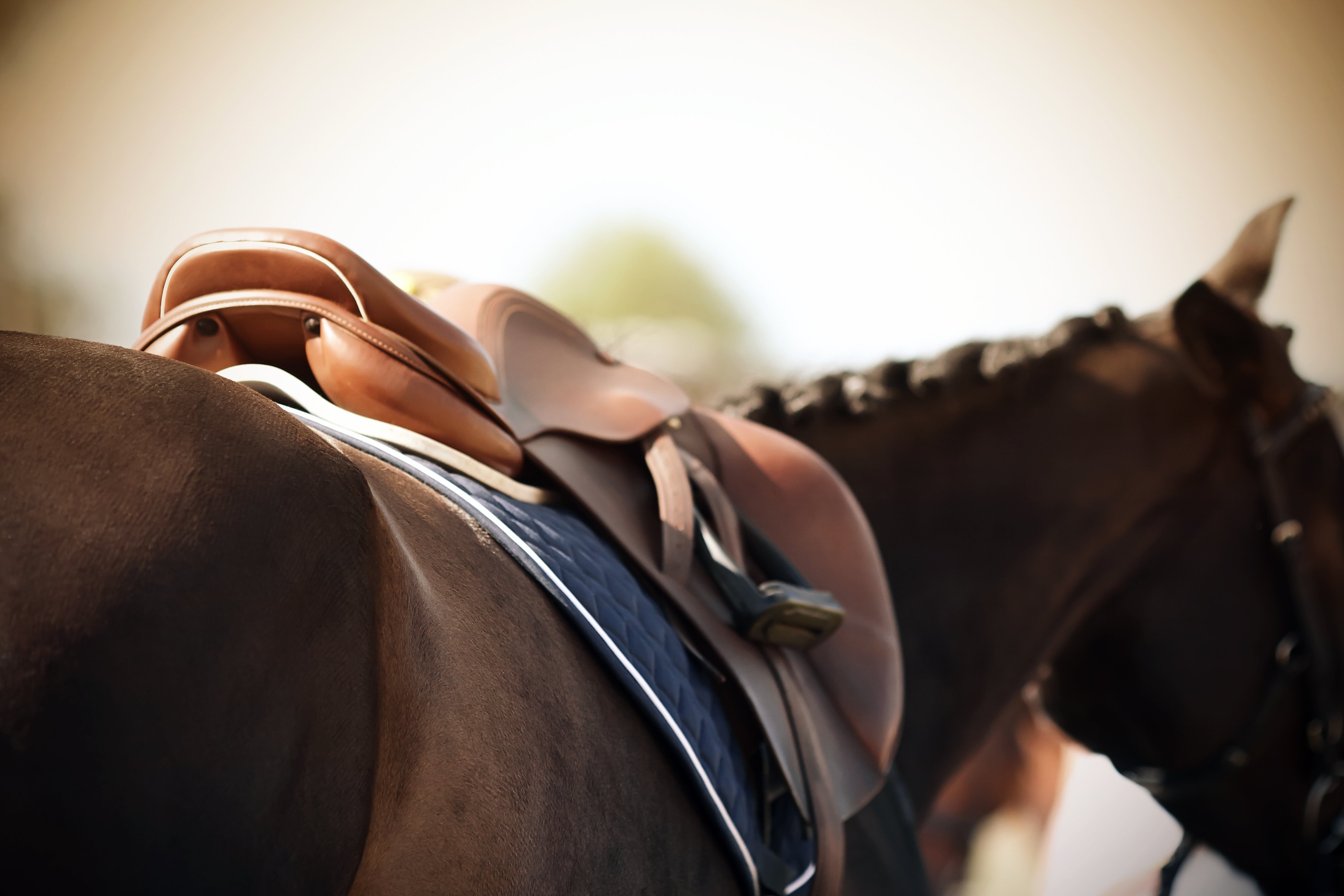 AdobeStock_291462786 (1)