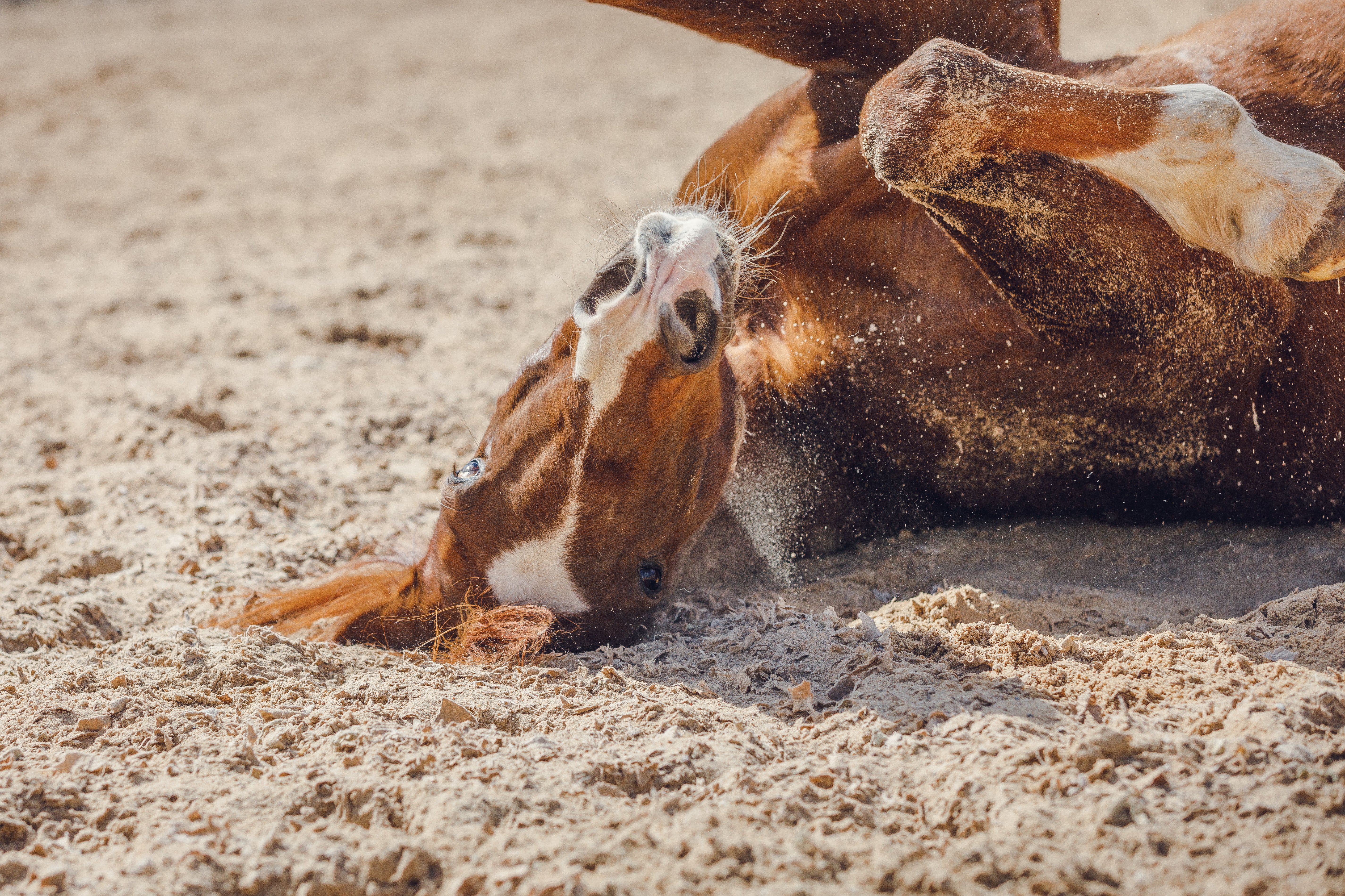 AdobeStock_344238924