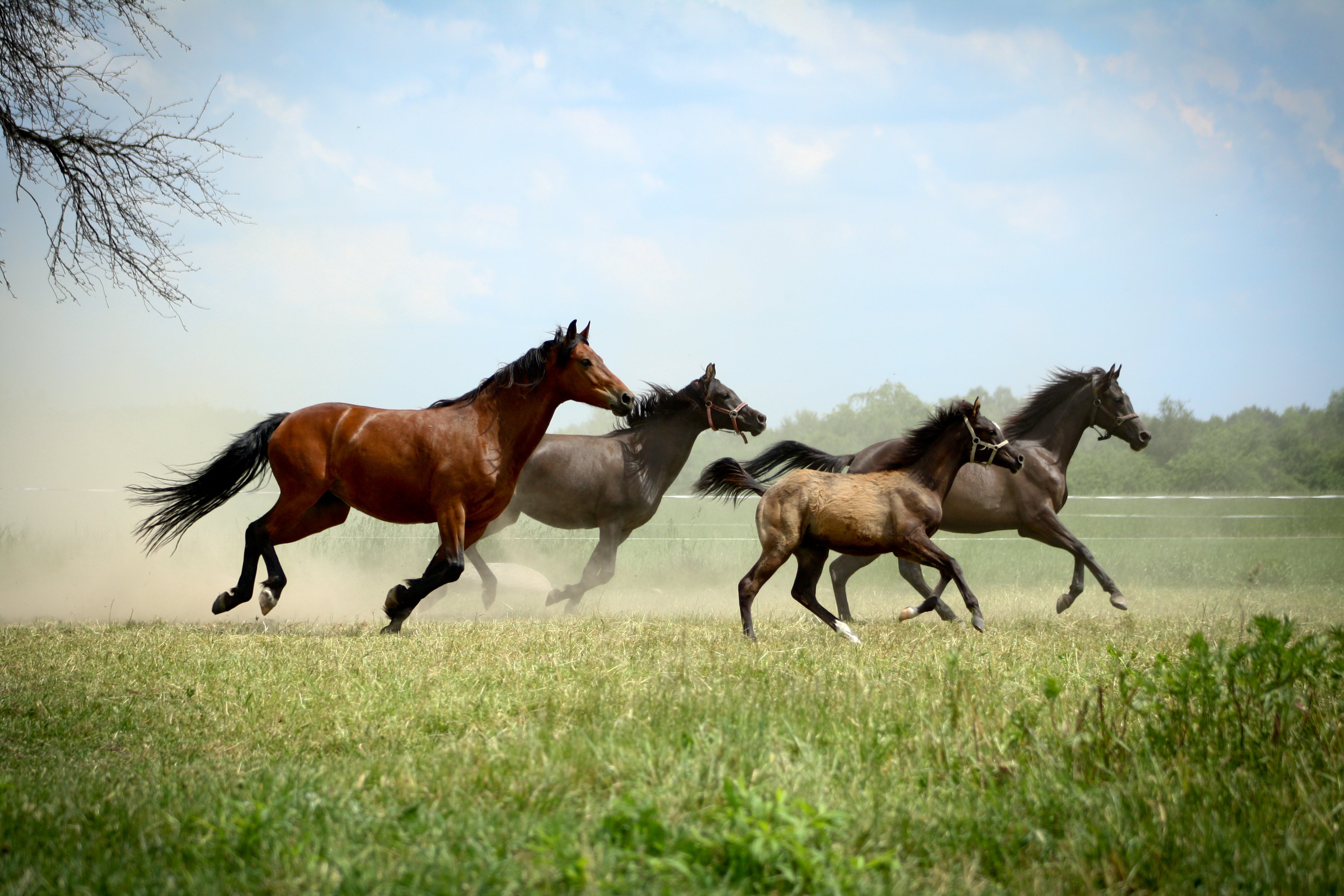 AdobeStock_45033982 (2)