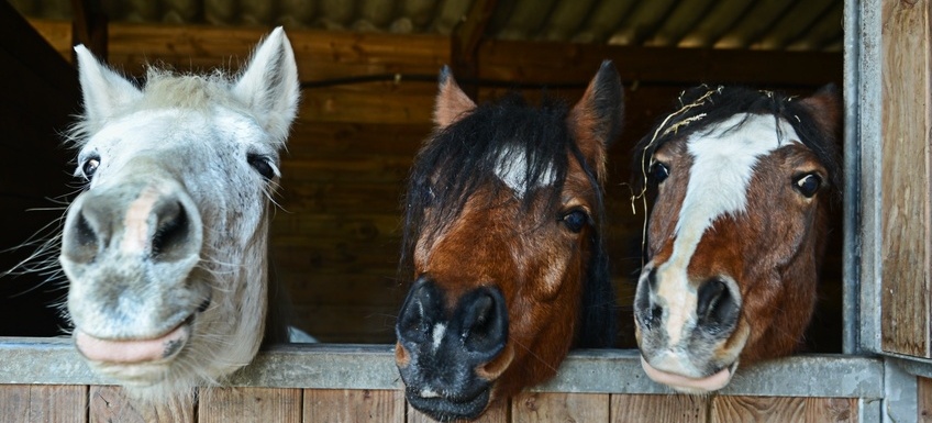Fotolia_133079273_S-806657-edited