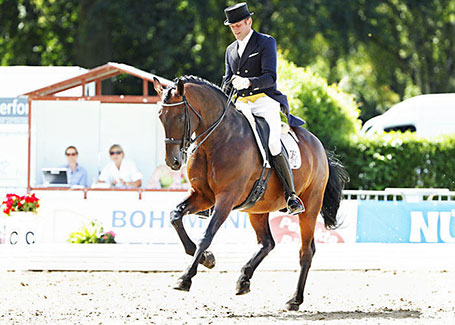 Wolfgang-Schade-Grand-Prix-trainer-Equine-74