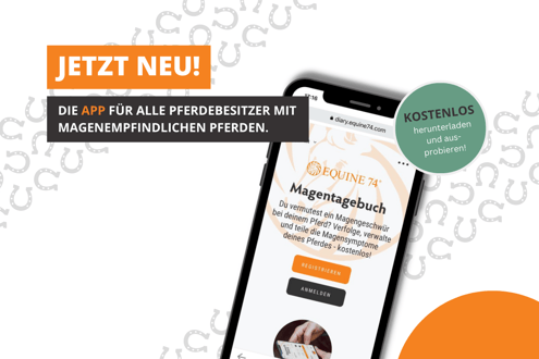 Bild Blog App bessere Auflösung