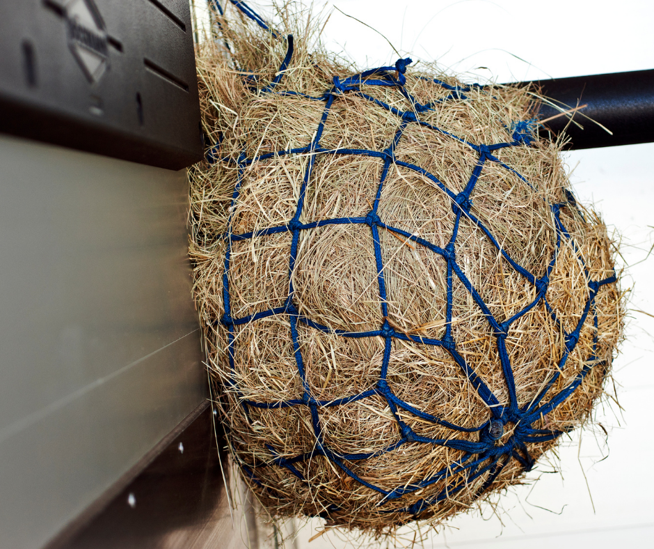 Raufutter-fuer-Pferde-mit-Magenproblemen-Equine-74