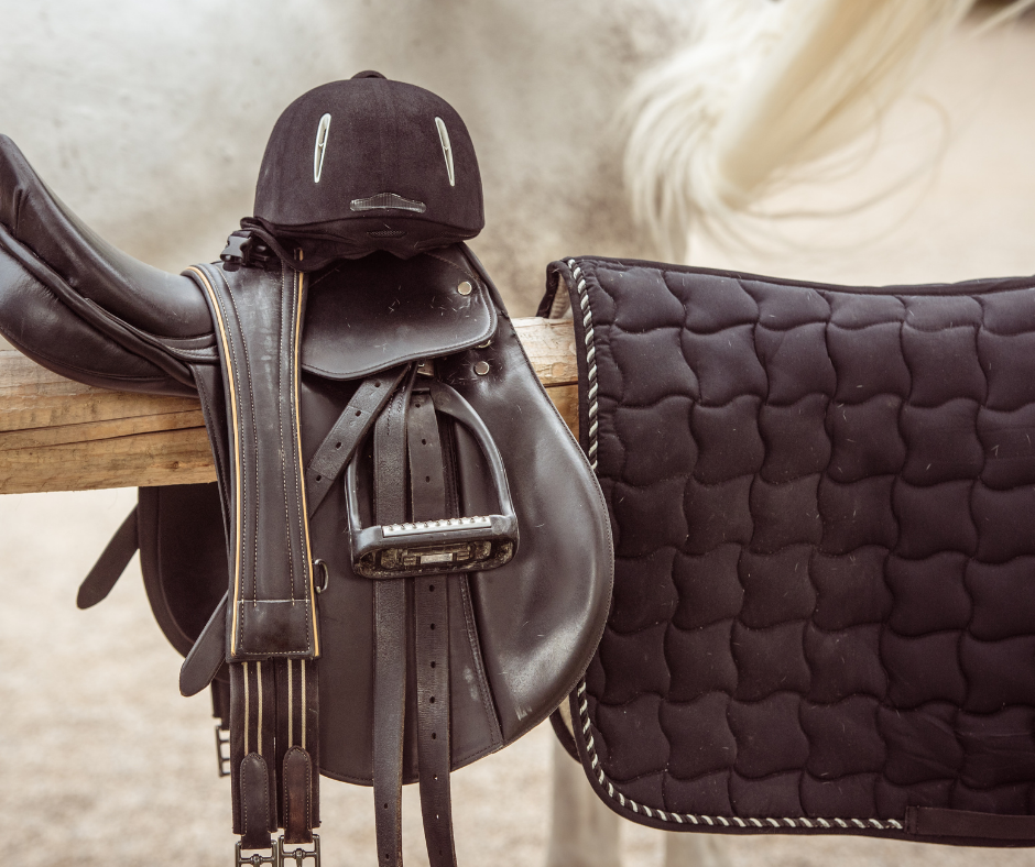 Sattelkontrolle-bei-Rueckenproblemen-beim-Pferd-Equine-74