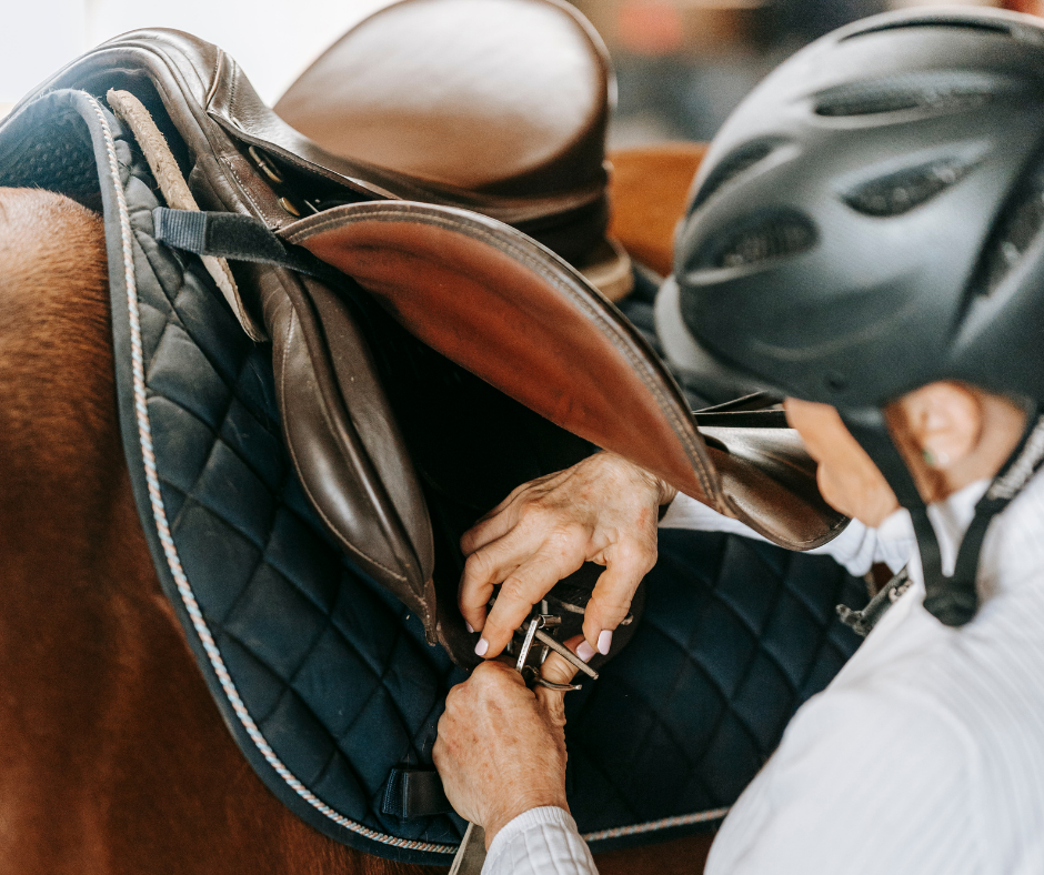 Langsam-angurten-Sattel-Equine-74