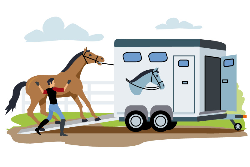calmrelax-horse-is-scared-trailer-equine-74