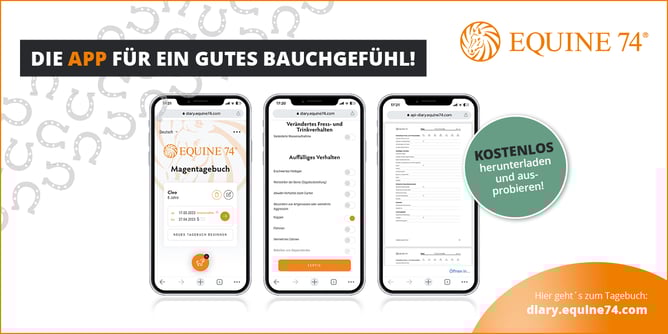 DIJO_E74_Pressemeldung_mobil_quer_2