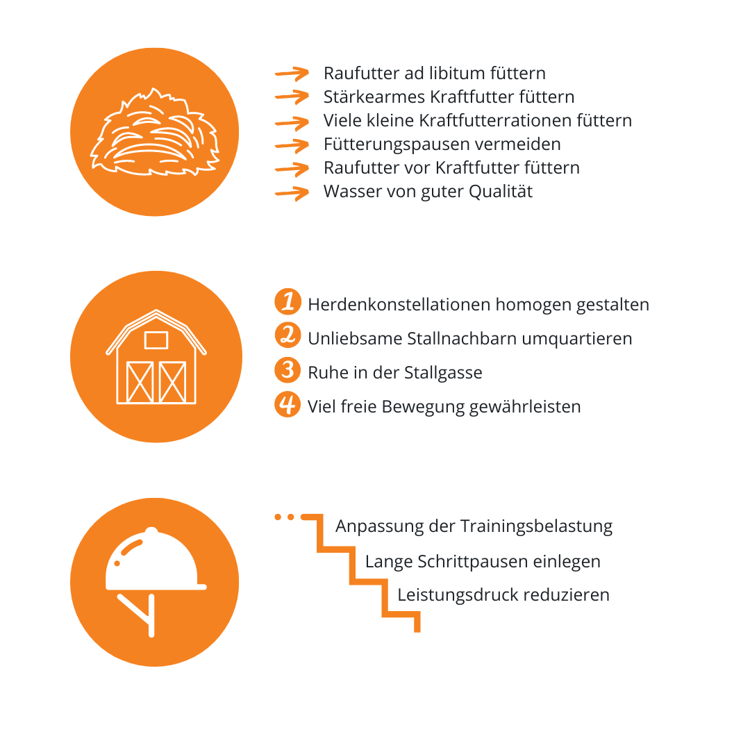 Feedposts Insta & Facebook (5)