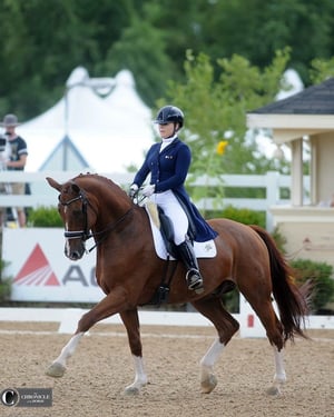 Equine_74_Gastric_Bebe_Davis
