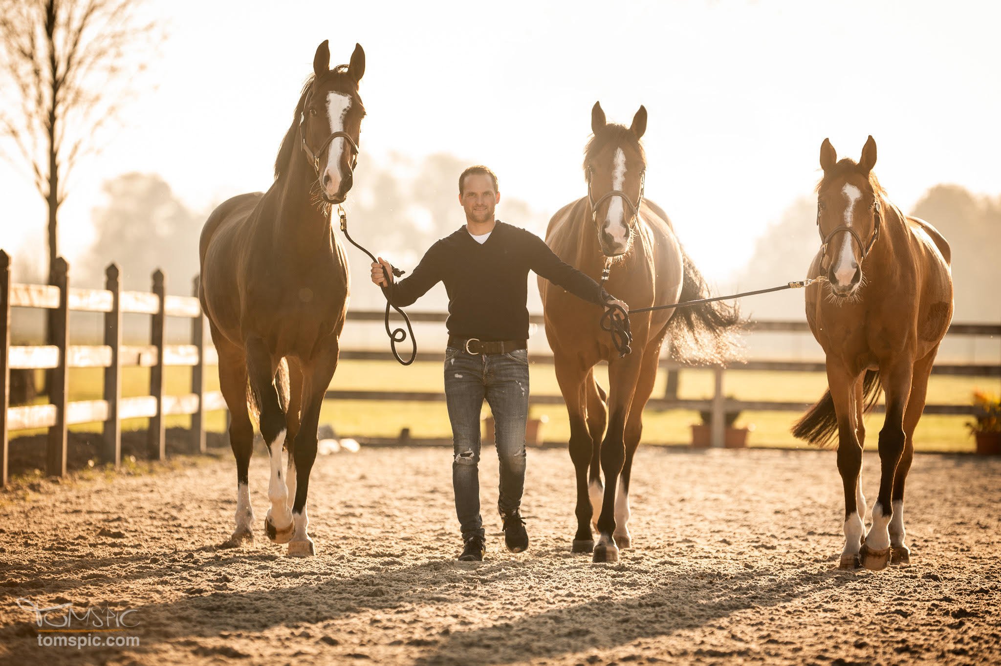 TOMsPiC_Alexander Schill_Equine_74