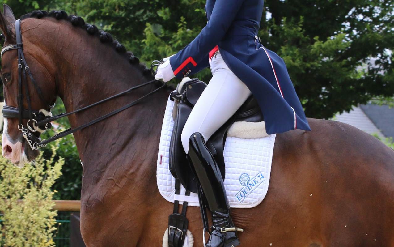 Saddlelogo